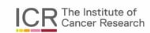 The Institute of Cancer Research