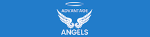 Advantage Angels Ltd