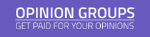 Opinion Groups