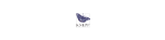 Knepp Swallows Ltd