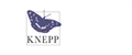 Knepp Swallows Ltd