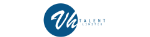 VH Talent Limited