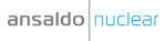 Ansaldo Nuclear Limited