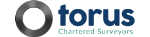 Torus Surveyors