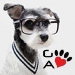 GroomArts Academy