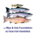 The Wye and Usk Foundation