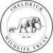 Sheldrick Wildlife Trust UK