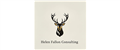 HELEN FALLON CONSULTING LTD