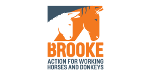 THE BROOKE