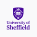 UNIVERSITY OF SHEFFIELD