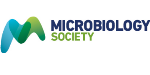 Microbiology Society