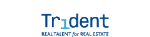 Trident International Associates
