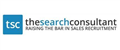 The Search Consultant