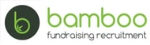 Bamboo Fundraising Recruitment
