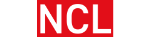 Net Consulting Ltd